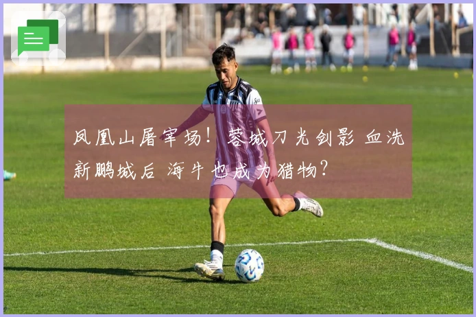 凤凰山屠宰场!蓉城刀光剑影 血洗新鹏城后 海牛也成为猎物?